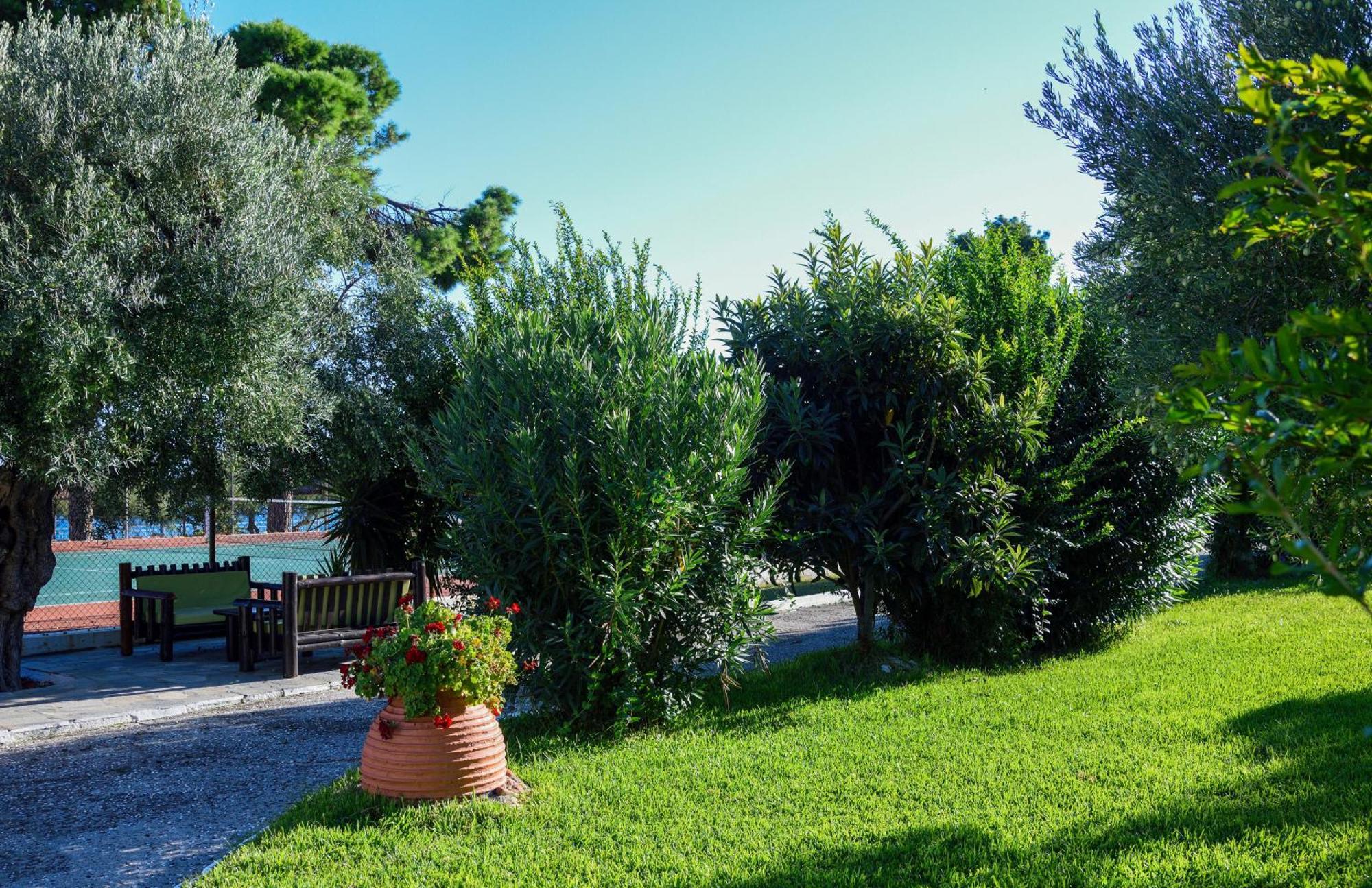 Mendi Hotel