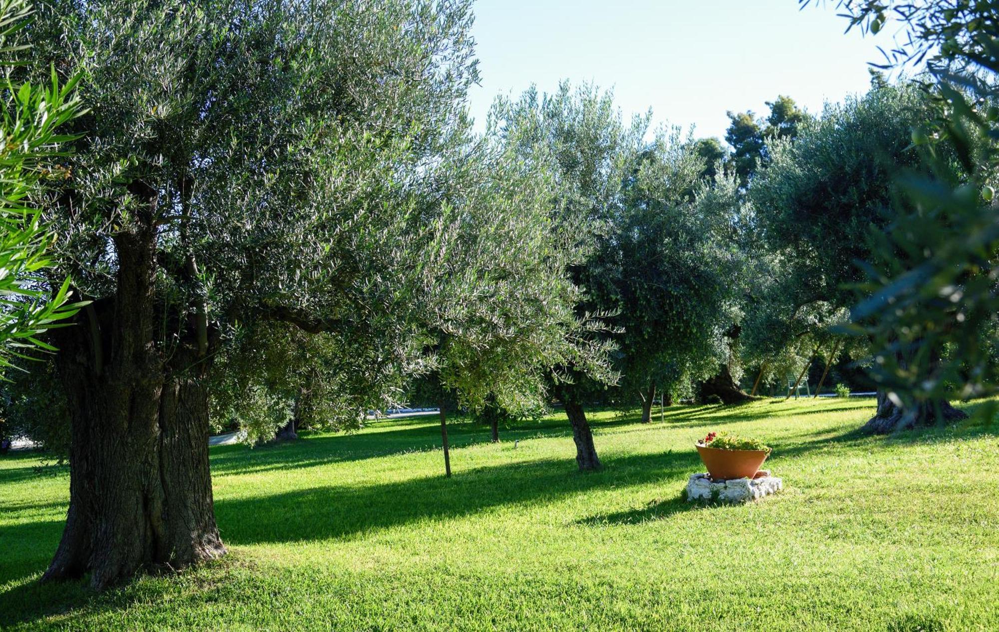 Hotel Mendi